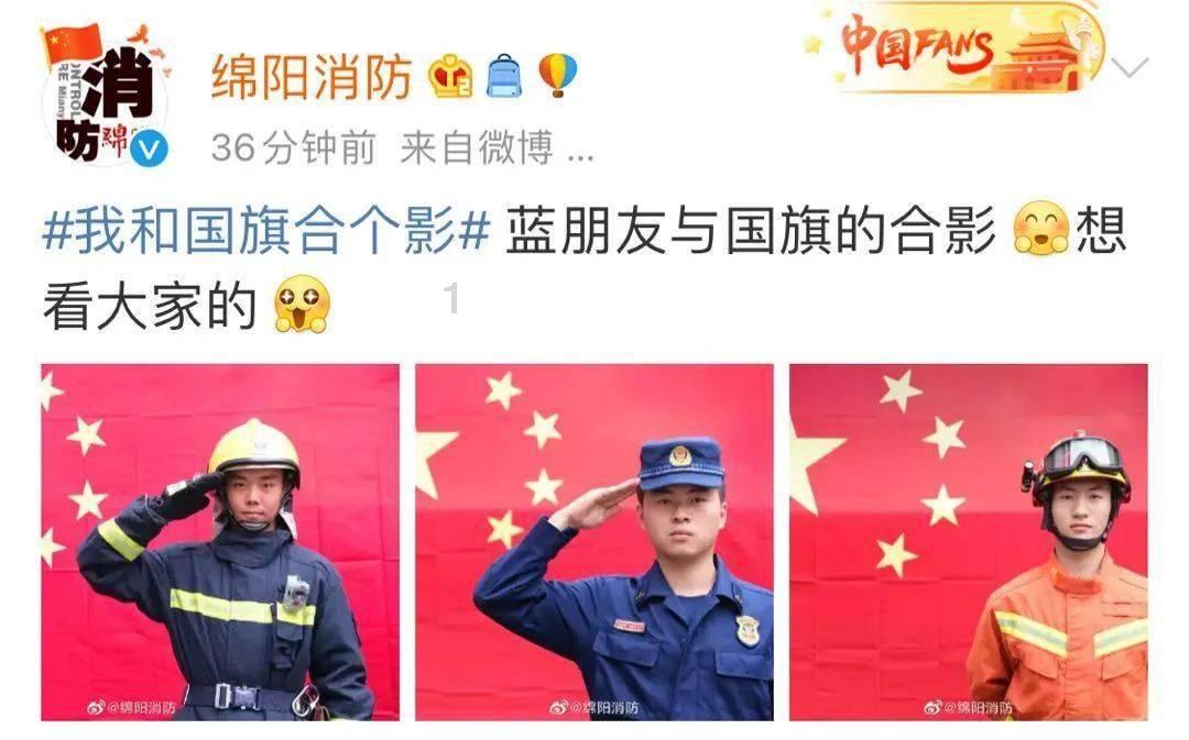 救援白色小猫